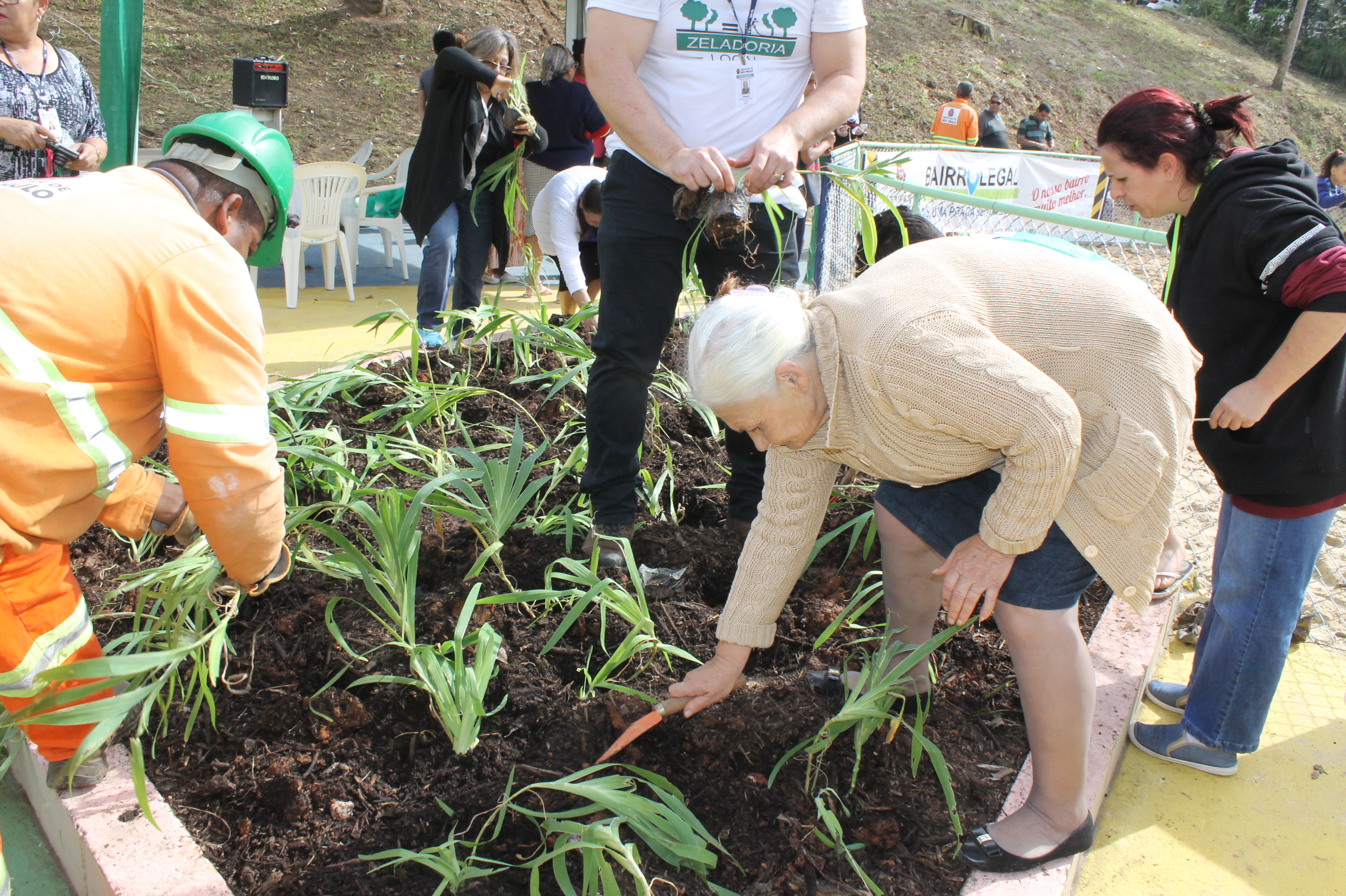 #PraCegoVer – Em um canteiro com mudas de azaléias, dona Regina, de casaco cor de café-com-leite e saia azul-marinho planta mudas com a ajuda de uma pazinha de jardinagem.