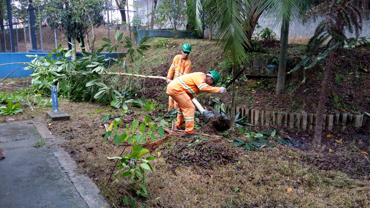 #PraCegoVer - Rua Cassiano dos Santos - Jardim Clipper. Trabalhadores da Subprefeitura, em macacões laranja e branco, cortam grama, retiram o material cortado e plantam mudas de árvores.