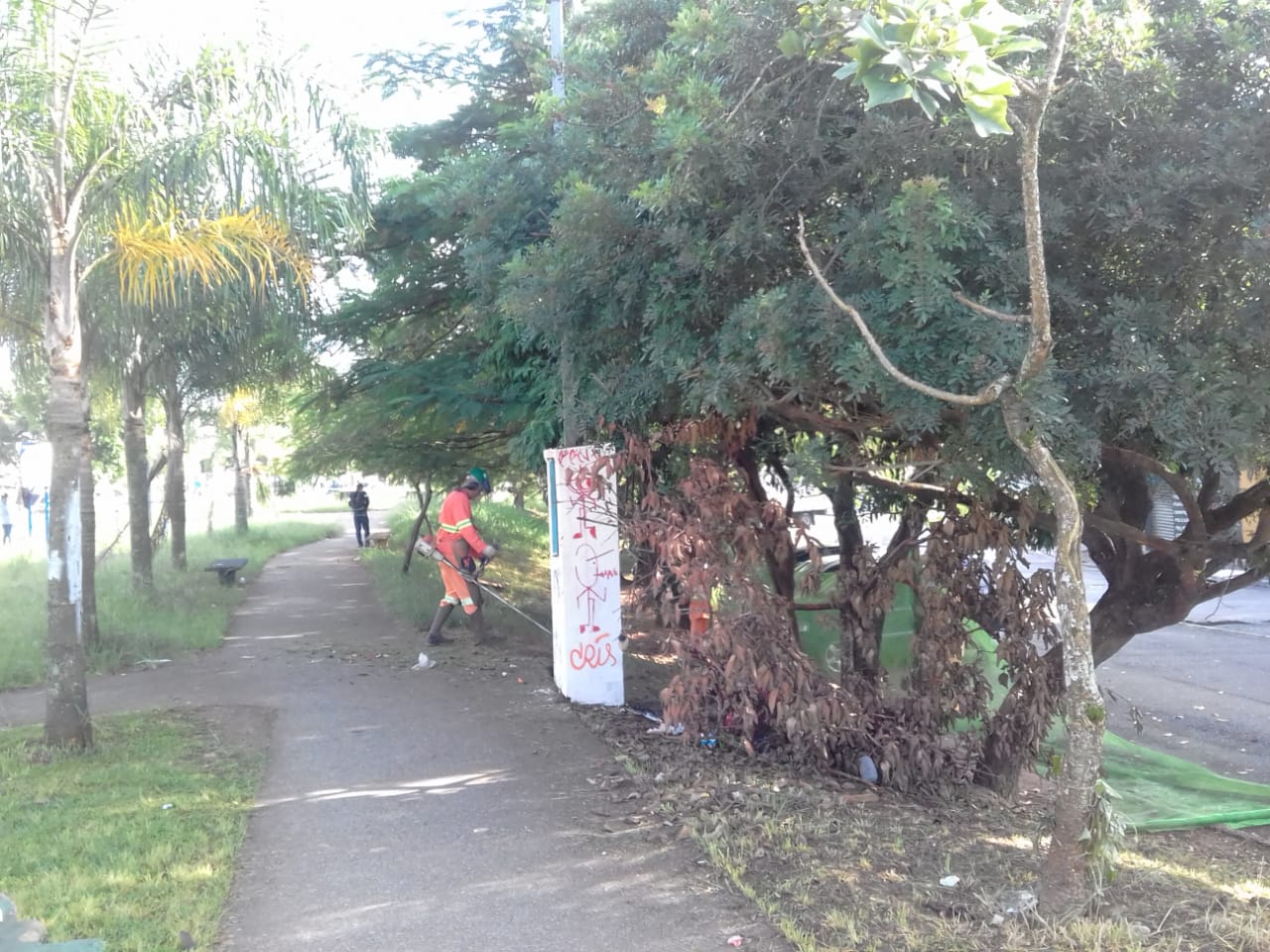 #PraCegoVer - Trabalhadores cortam a grama nas laterais do passeio da rua.