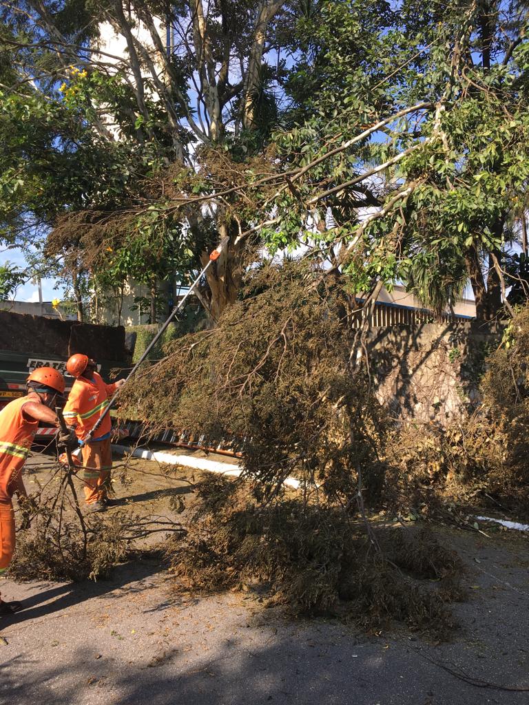 #PraCegoVer - Trabalhadores da Subprefeitura em macacões laranja recolhem galhos caídos de uma árvore,   próxima ao muro de uma casa. Um dos trabalhadores corta os galhos com uma serra elétrica montada na   ponta de uma vara de madeira.