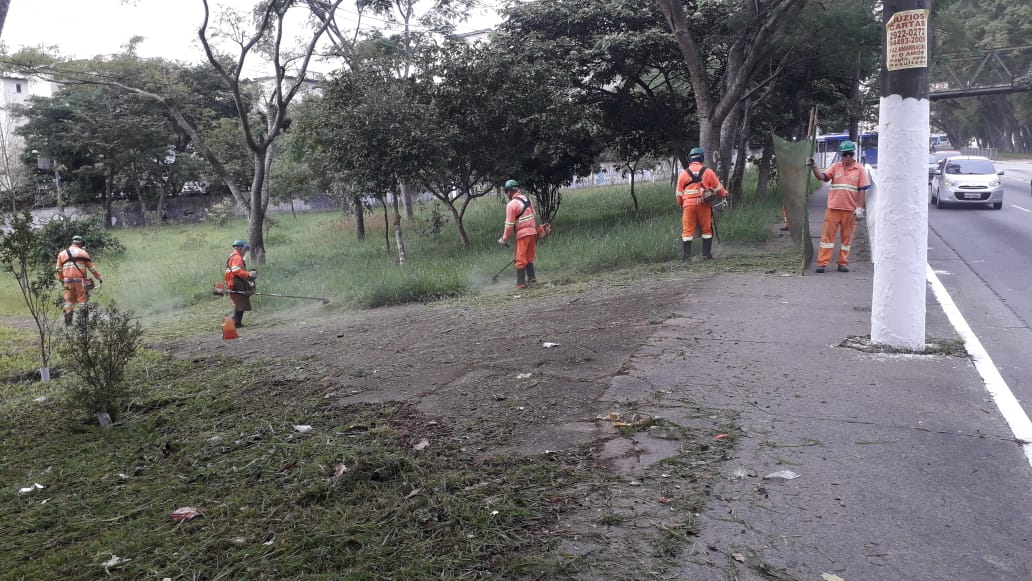 #PraCegoVer - Quatro trabalhadores cortam grama à beira da avenida. Dois outros seguram uma rede de proteção.