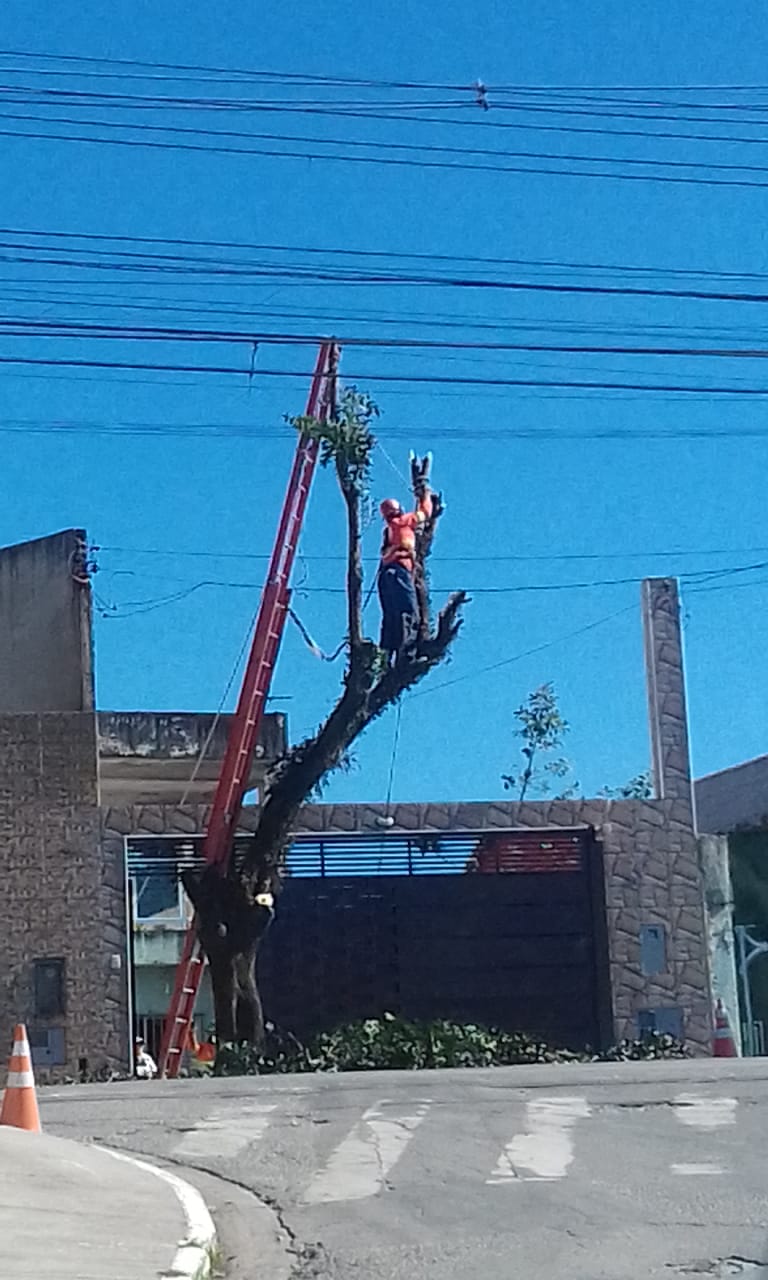 #PraCegoVer - Um trabalhador apoia-se em um tronco de árvore que está sendo cortada. Há uma escada cor   de laranja apoiada na árvore, diante de uma casa.