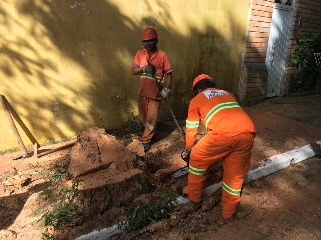 #PraCegoVer - Dois trabalhadores cortam um toco de árvore para remoção. O toco está na calçada, em frente a um muro amarelo.