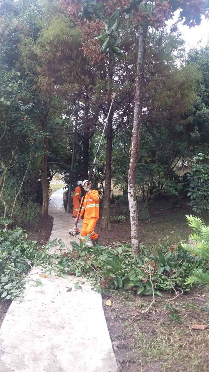 #PraCegoVer - Dois trabalhadores da Subprefeitura podam galhos altos de árvores. O resultado da poda   está espalhado no chão, sobre uma calçada interna.