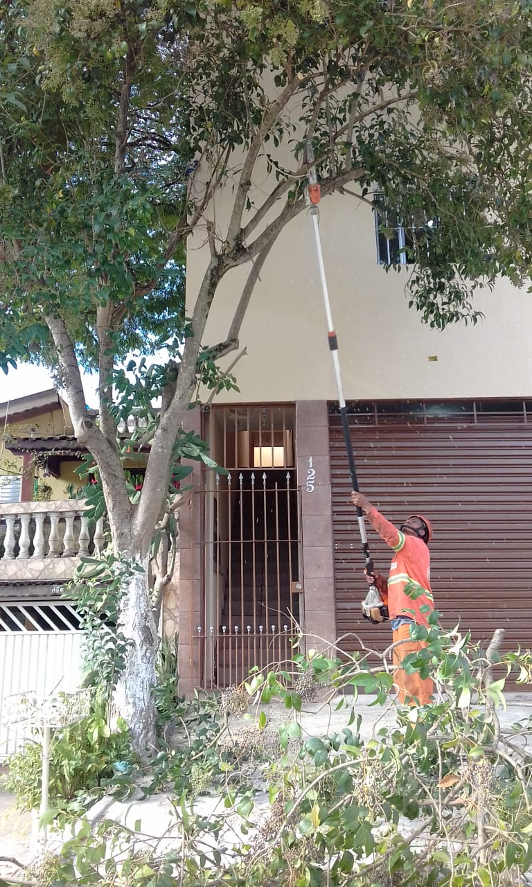 #PraCegoVer - Trabalhador da Subprefeitura poda árvore com motosserra na ponta de uma vara.