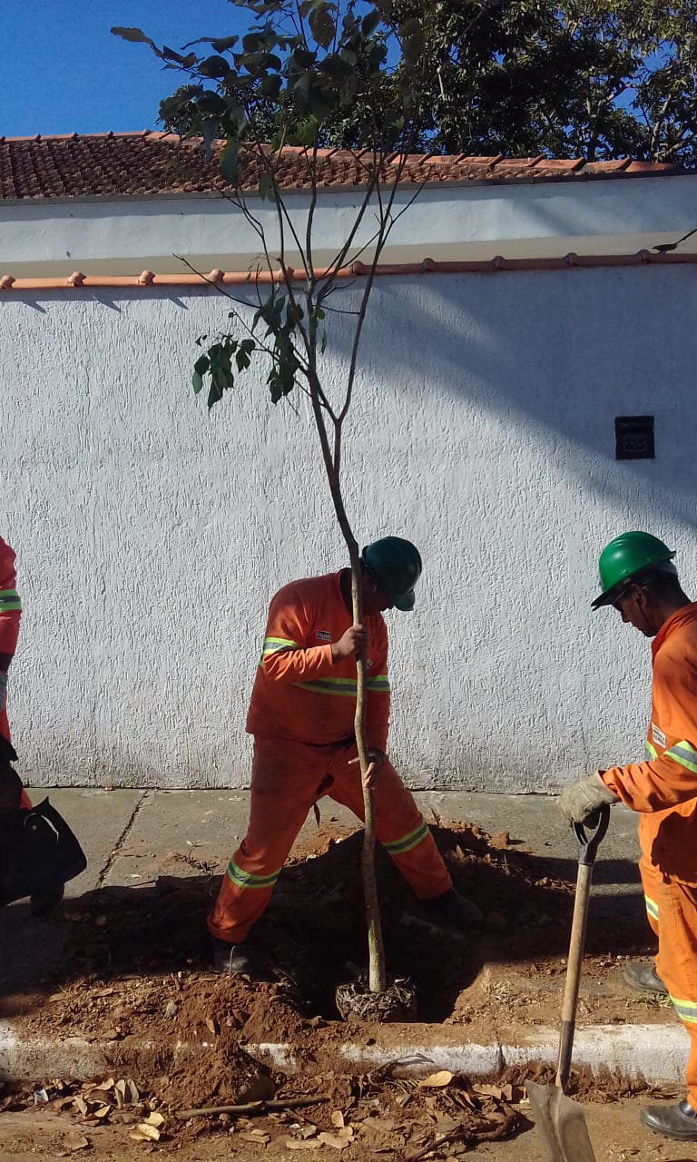 #PraCegoVer - Diante de um muro branco, dois trabalhadores da Subprefeitura plantam uma muda de árvore para substituir outra que foi removida.