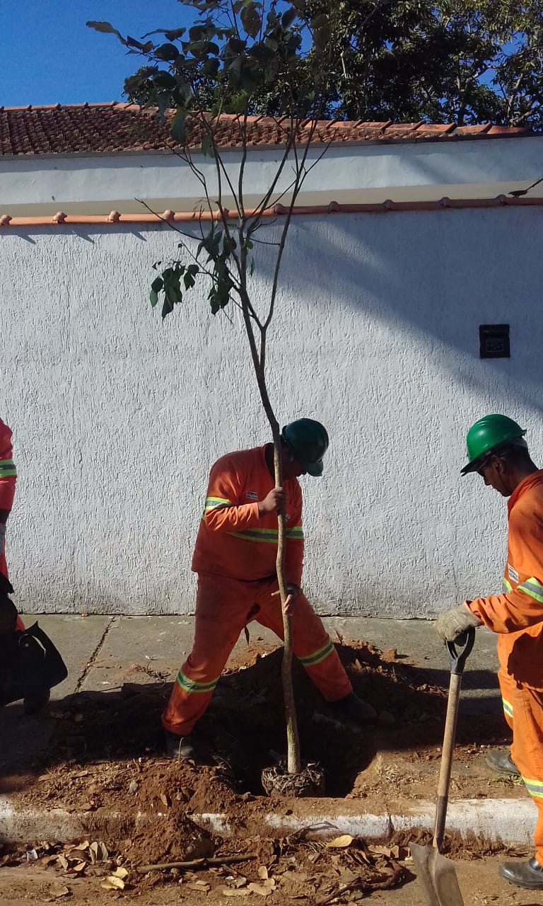 #PraCegoVer - Diante de um muro branco, dois trabalhadores da Subprefeitura plantam uma muda de árvore para substituir outra que foi removida.