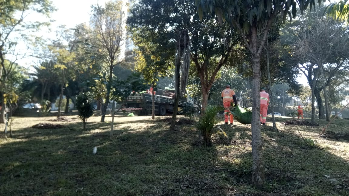 #PraCegoVer - Trabalhadores da Subprefeitura transportam a grama cortada para ser levada por caminhão da empreiteira. O local tem árvores e a grama, naturalmente, está cortada.