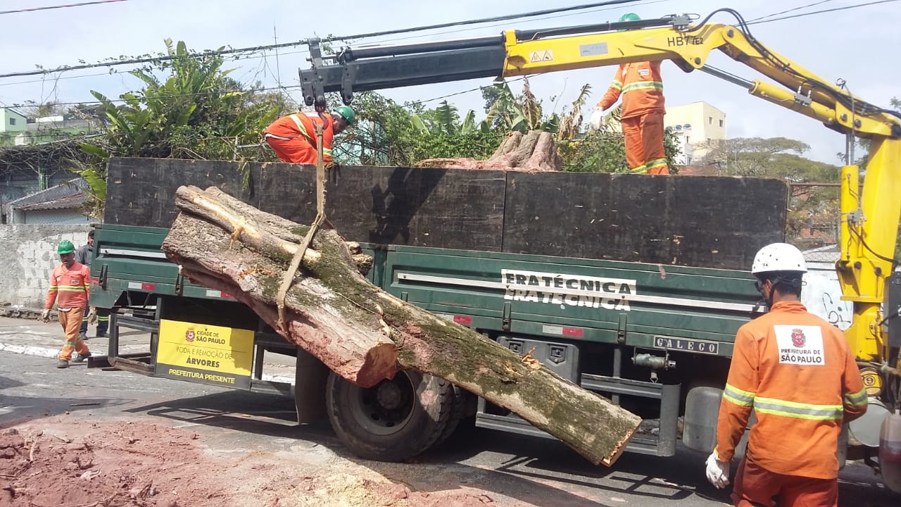 #PraCegoVer - Caminhão da empreiteira, equipada com pequeno guindaste, chamado Munck, levanta o tronco da árvore removida para remoção.
