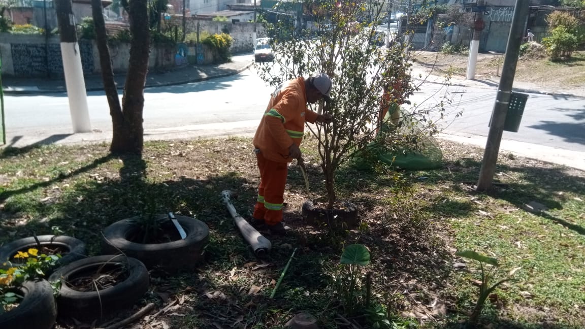 #PraCegoVer - No meio de uma pracinha, trabalhador da Subprefeitura replanta arbusto. Ao lado, há pneus velhos, que serão usados como proteção das espécies.