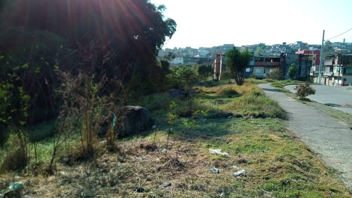 #PraCegoVer - Terreno públio com grama cortada ao lado da via, que fica à direita. Ao fundo, há casas.