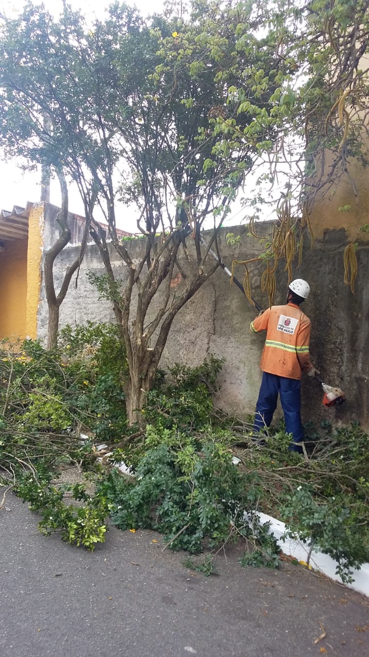 #PraCegoVer - Trabalhador da Subprefeitura com motosserra corta galhos de árvores no passeio.