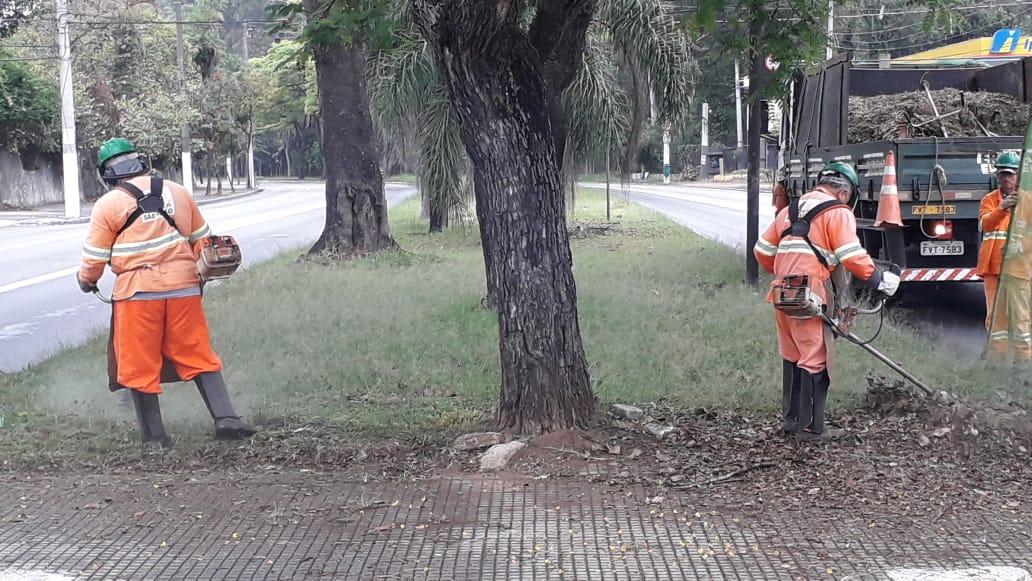 #PraCegoVer - Trabalhadores da Subprefeitura cortam grama no canteiro central. Outros trabalhadores seguram a proteção de tela. Ao fundo, à direita, o caminhão da empreiteira contratada. No centro do canteiro, há várias árvores.