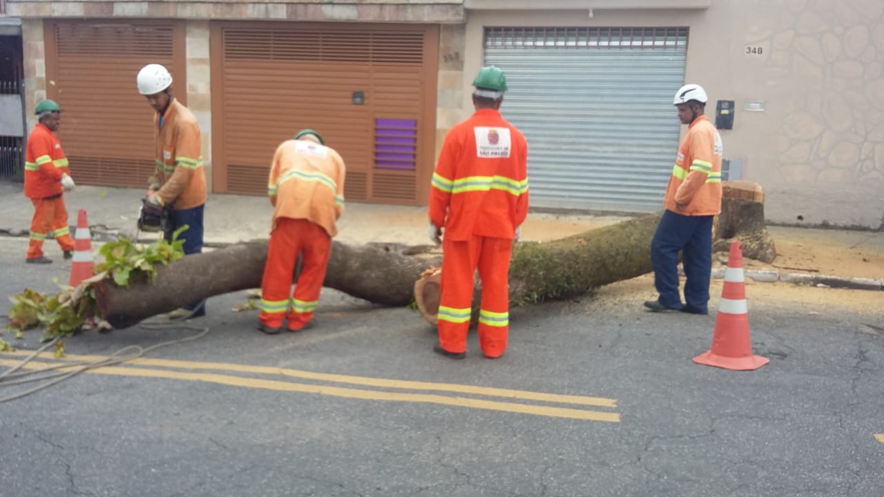 #PraCegoVer - Trabalhadores da Subprefeitura removem árvore cortada pela base, diante de uma porta de ferro de casa comercial. Novos cortes serão feitos para poder transportar a árvore.