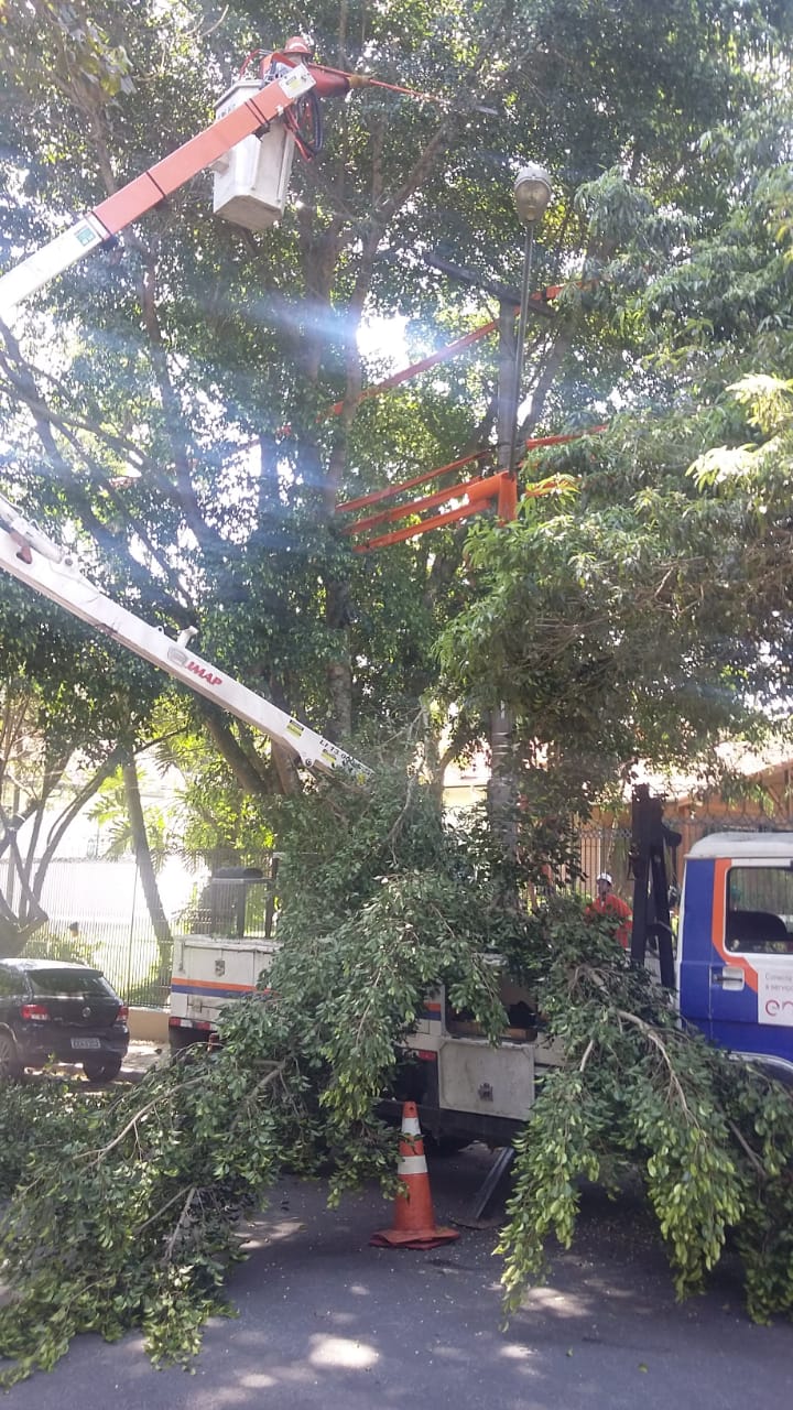 #PraCegoVer - Caminhão com braço extensível e cesto está ao lado da árvore a ser removida. Um trabalhador está no alto do cesto, podando a árvore para posterior remoção total.
