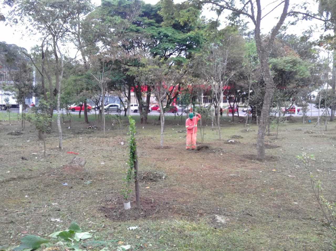 #PraCegoVer - Trabalhador da Subprefeitura recolhe a grama cortada da praça. Há árvores e, ao fundo, o trânsito do início da av. Belmira Marin.