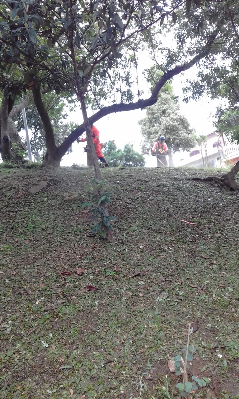 #PraCegoVer - Trabalhadores da Subprefeitura cortam grama no jardim. Há árvores — um dos galhos atravessa todo o espaço.