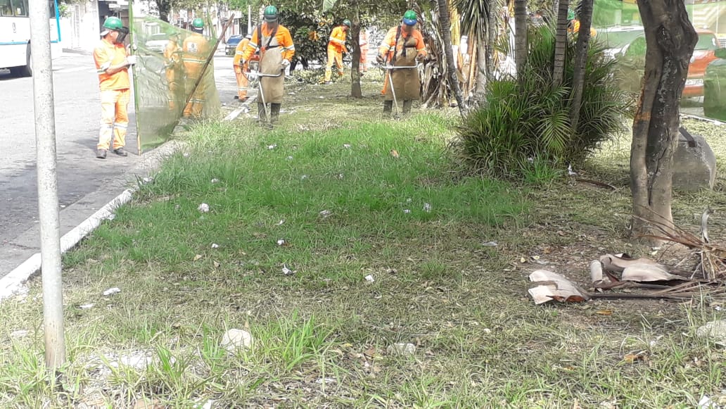#PraCegoVer - Trabalhadores da Subprefeitura cortam grama no canteiro central da via. Outros trabalhadores seguram a proteção de tela. Há árvores no canteiro.