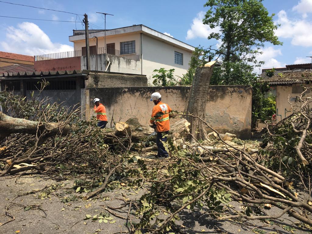 #PraCegoVer - Trabalhadores da Subprefeitura no processo de remoção de árvore. A rua está cheia de galhos cortados. O tronco principal ainda está de pé.