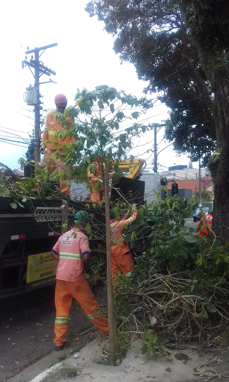 #PraCegoVer - Trabalhadores da Subprefeitura recolhem os galhos resultantes da poda de árvore. Os galhos estão sendo colocados em um caminhão da empreiteira contratada.