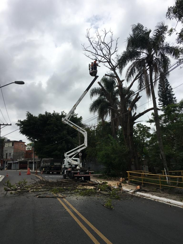 #PraCegoVer - Trabalhador da Subprefeitura está em um cesto mecânico, suspenso a cerca de 10 metros de altura para cortar os galhos da árvore no processo de remoção.