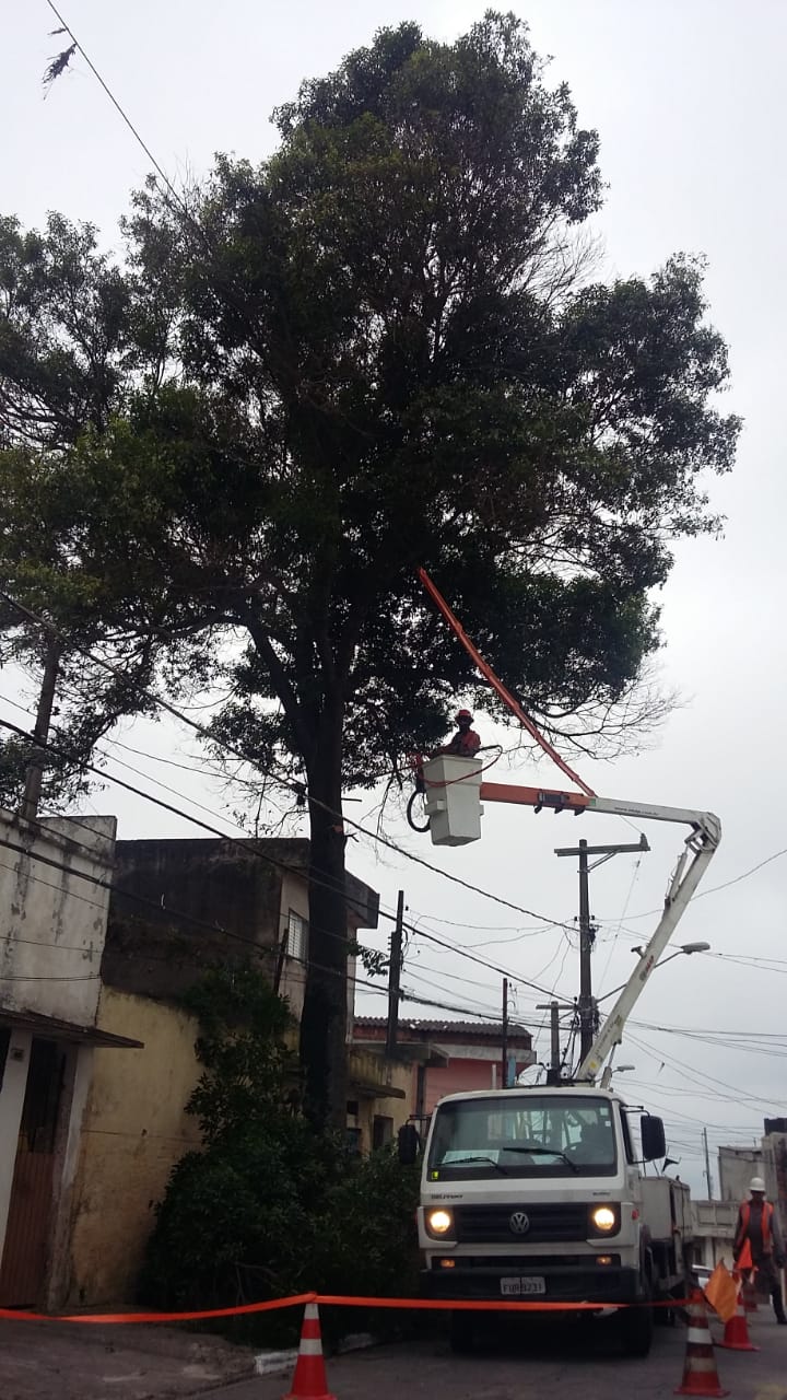 #PraCegoVer - Trabalhador da Subprefeitura está suspenso no cesto articulado sobre um caminhão. Ele corta os galhos da árvore que será removida.