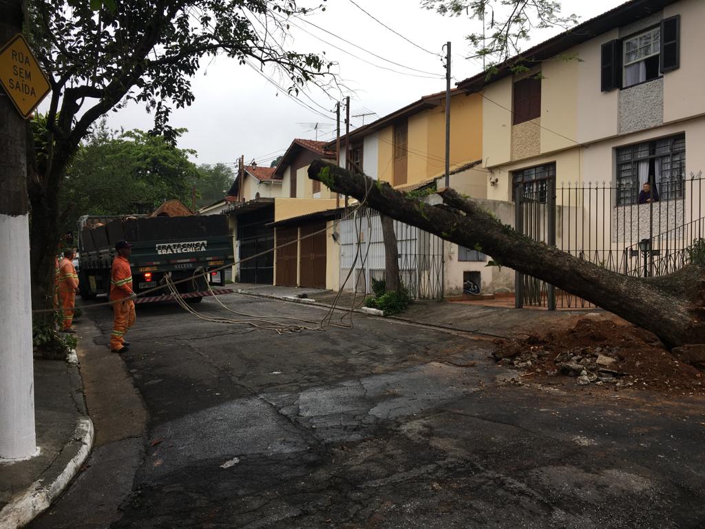 #PraCegoVer - Trabalhadores da Subprefeitura trabalham na retirada de árvore em uma pequena vila de sobrados. Ao fundo, há um caminhão da empreiteira contratada.