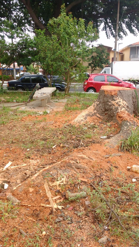 #PraCegoVer - Parte da praça onde serão erguidas novas muretas e reformado um banco, que aparece quebrado. Do lado direito, há a raiz de uma árvore que foi removida.