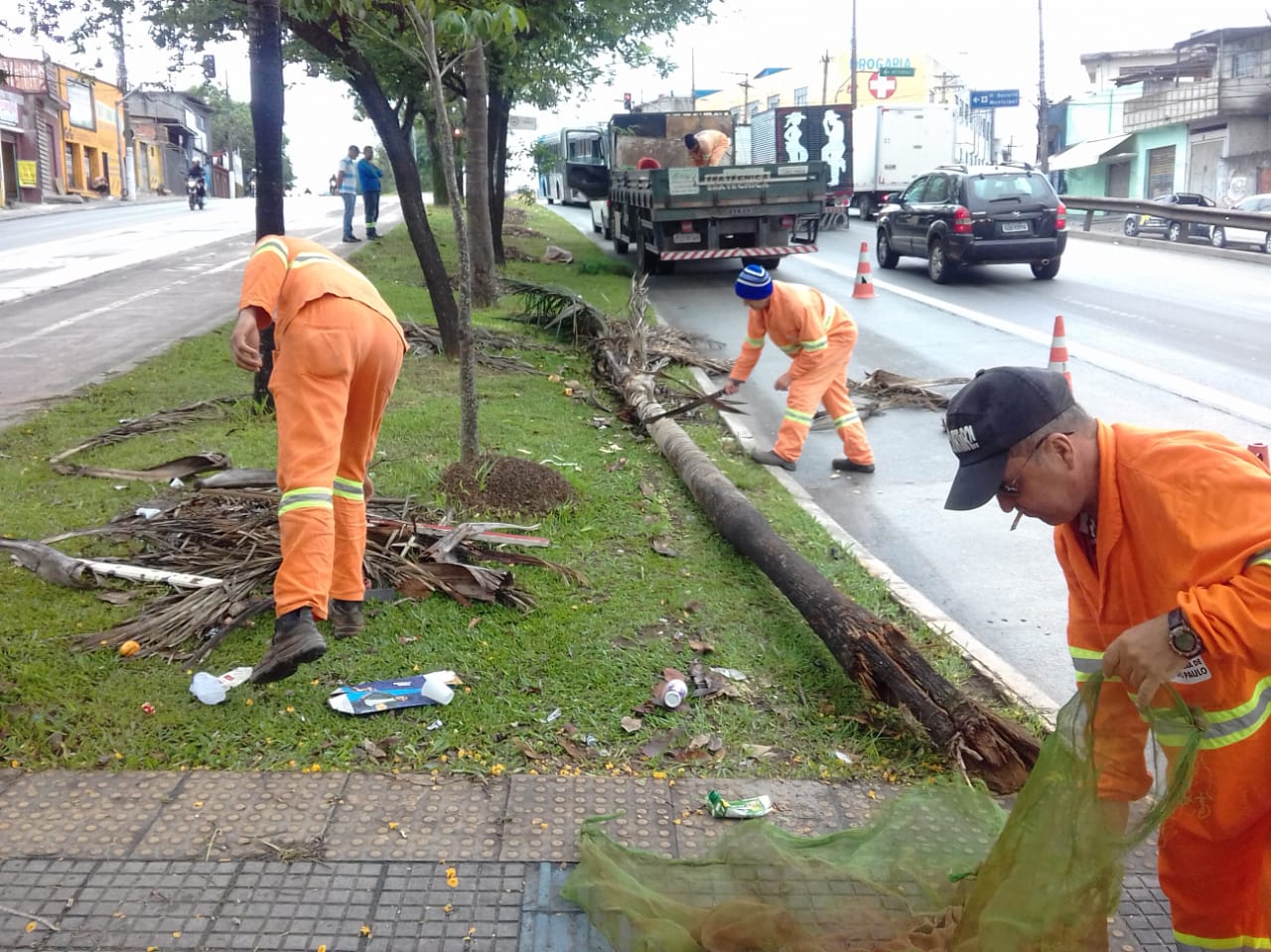 #PraCegoVer - Trabalhadores da Subprefeitura coletando galhos e tronco de árvore sobre o canteiro central. No fundo, um caminhão da empreiteira contratada.