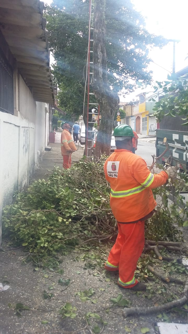 #PraCegoVer - Trabalhadores da Subprefeitura recolhem galhos para o caminhão da empreiteira. Há uma escada encostada na árvore que será removida.