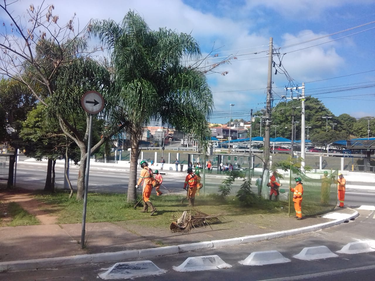#PraCegoVer - Trabalhadores da Subprefeitura recolhem grama cortada e galhos de árvores.