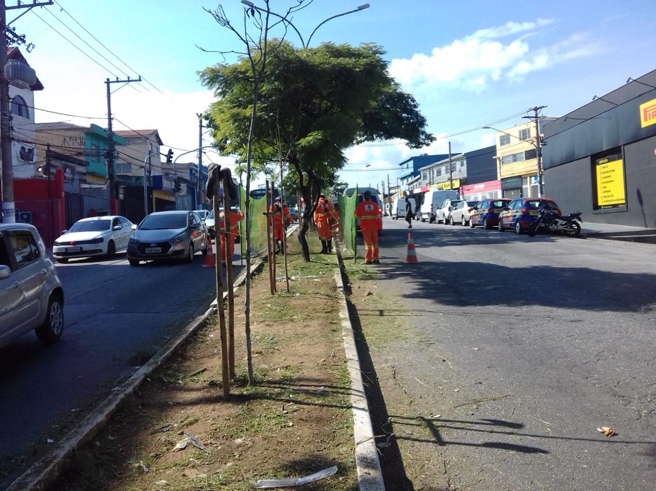#PraCegoVer - Trabalhadores da Subprefeitura cortam grama no canteiro central da avenida. Outros seguram proteção de tela. Há árvores no canteiro.