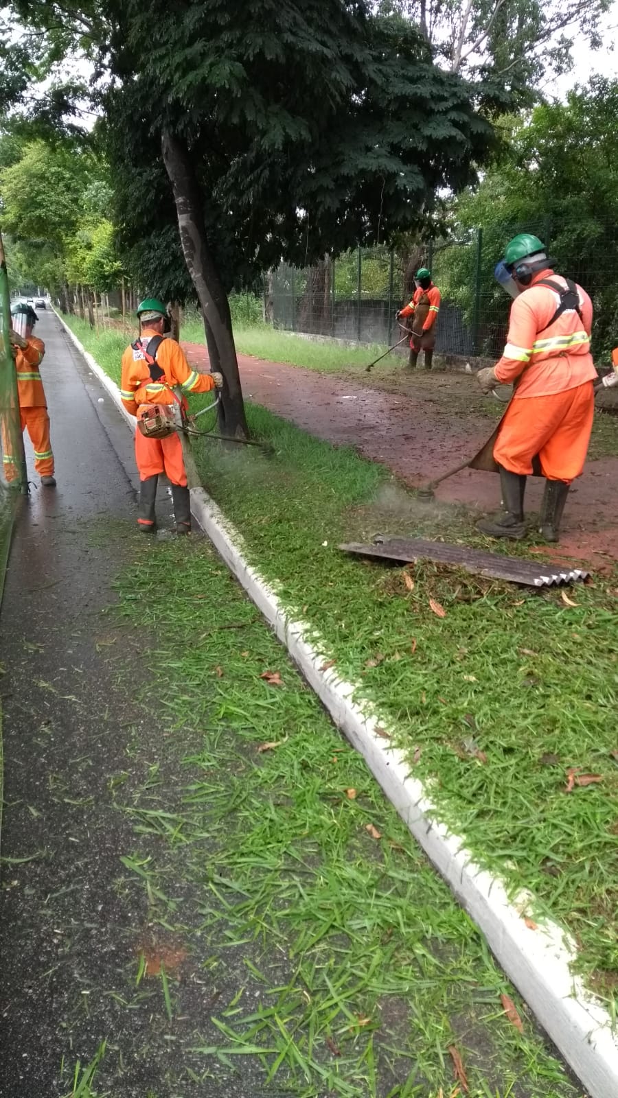 #PraCegoVer - Trabalhadores da Subprefeitura cortam grama no canteiro lateral da via. Outros seguram proteção de tela. Há árvores no passeio, e uma ciclovia.