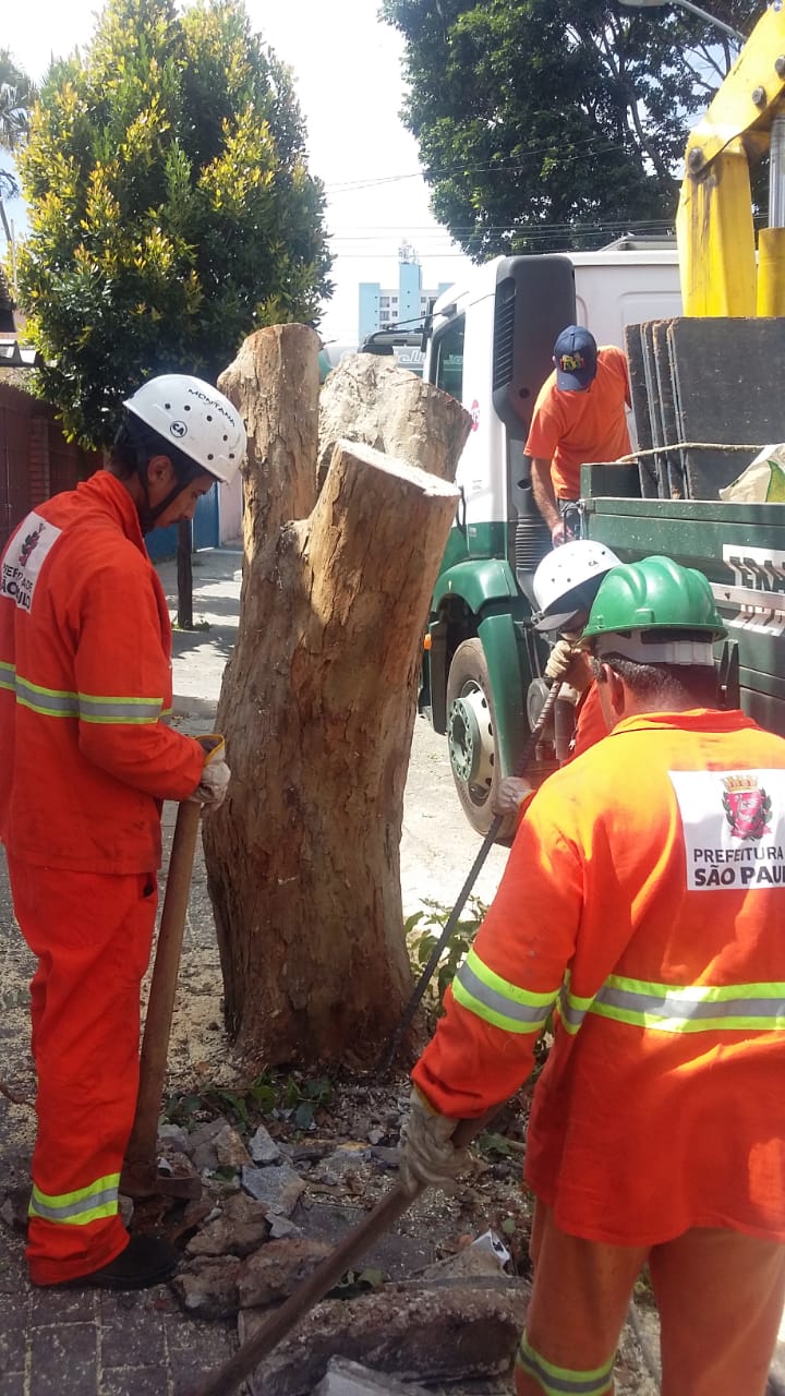 #PraCegoVer - Trabalhadores da Subprefeitura terminam de remover árvore: o corte está na porção terminal — a que fica direto na terra. Ao lado há um caminhão com guindaste (munck).