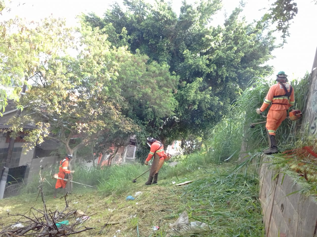 #PraCegoVer - Trabalhadores da Subprefeitura cortam grama e mato na encosta que termina em um muro. Ao fundo, há casas e árvores.