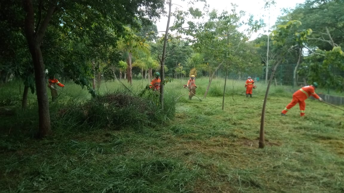 #PraCegoVer - Trabalhadores da Subprefeitura cortam grama em um campo que fica ao lado da via. Há árvores e arbustos.