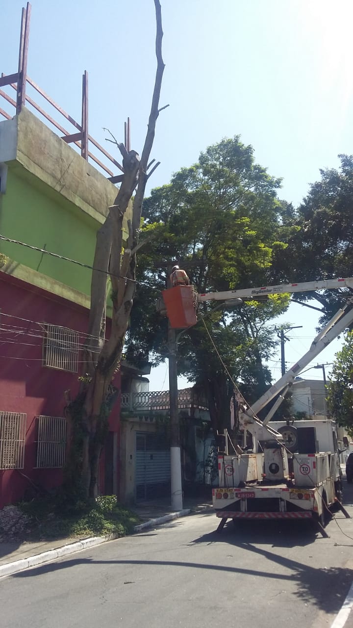 #PraCegoVer - Trabalhadores da Subprefeitura removem árvore na calçada. O trabalhador está em um cesto móvel operado de um caminhão.