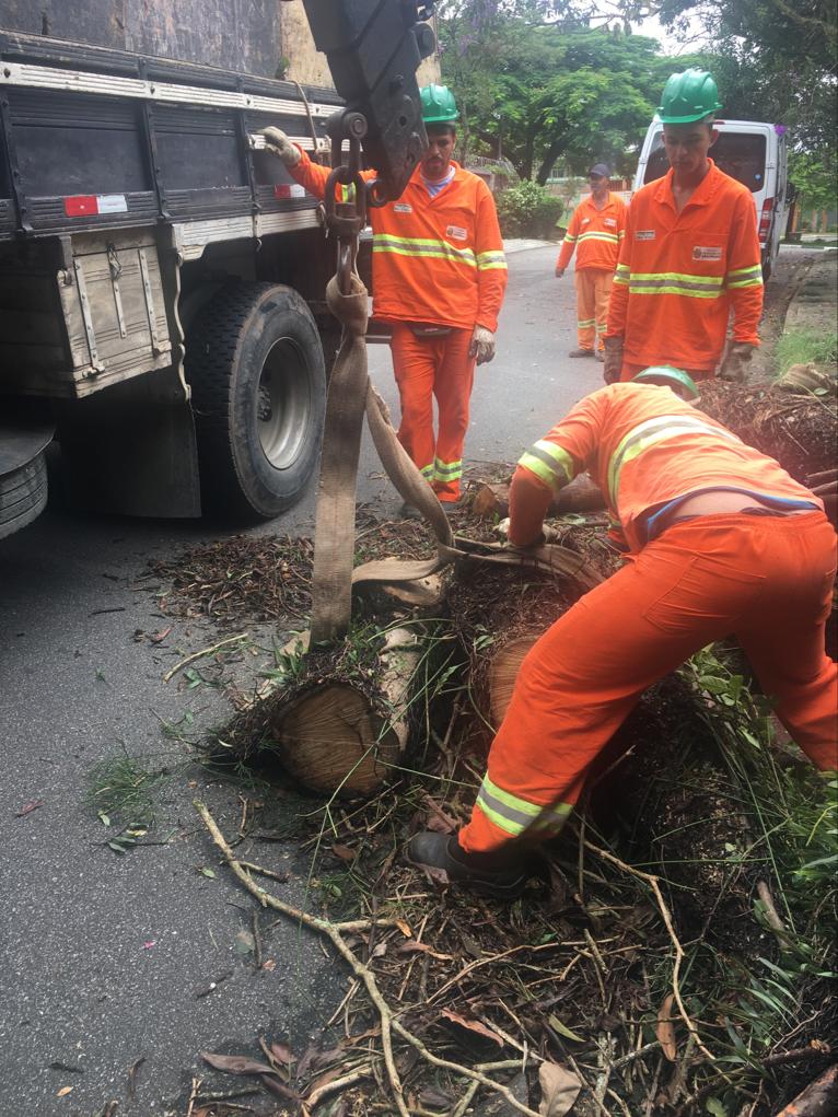 #PraCegoVer - Trabalhadores da Subprefeitura recolhem troncos de árvore removida.