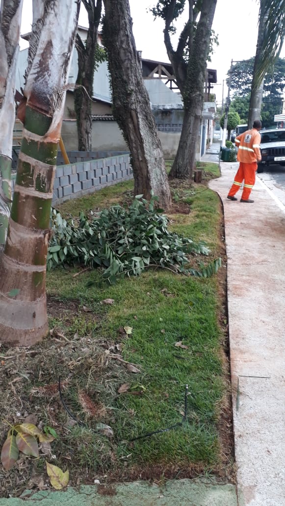 #PraCegoVer - Canteiro lateral da via contendo galhos de árvores. Um trabalhador da Subprefeitura aparece ao fundo, do lado direito.