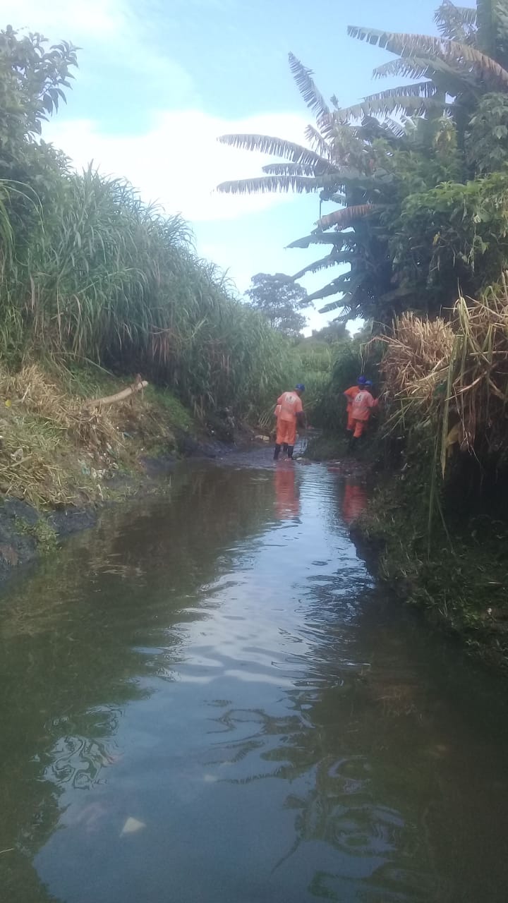 #PraCegoVer - Trabalhadores da Subprefeitura dentro do córrego, proedendo a limpeza. Há vegetação dos dois lados do córrego, nenhuma casa.