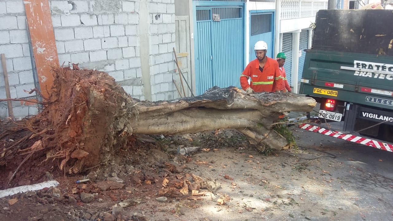 #PraCegoVer - Trabalhadores da Subprefeitura ajeitam um tronco de árvore com raízes para colocar dentro do caminhão da empreiteira contratada.