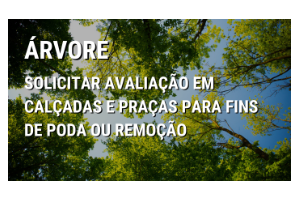 Imagem traz um grupo de árvores com texto informativo na foto: ÁRVORE Solicitar avaliação em calçadas e praças para fina de poda ou remoção.