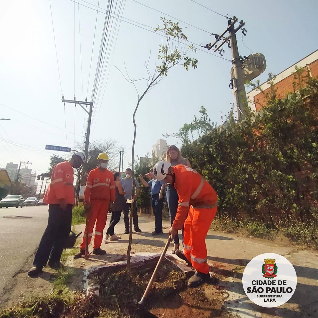 Equipe realizando a plantação do Ipê Amarelo.