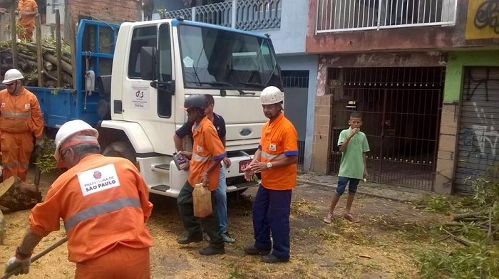 Equipes trabalham na retirada da árvore