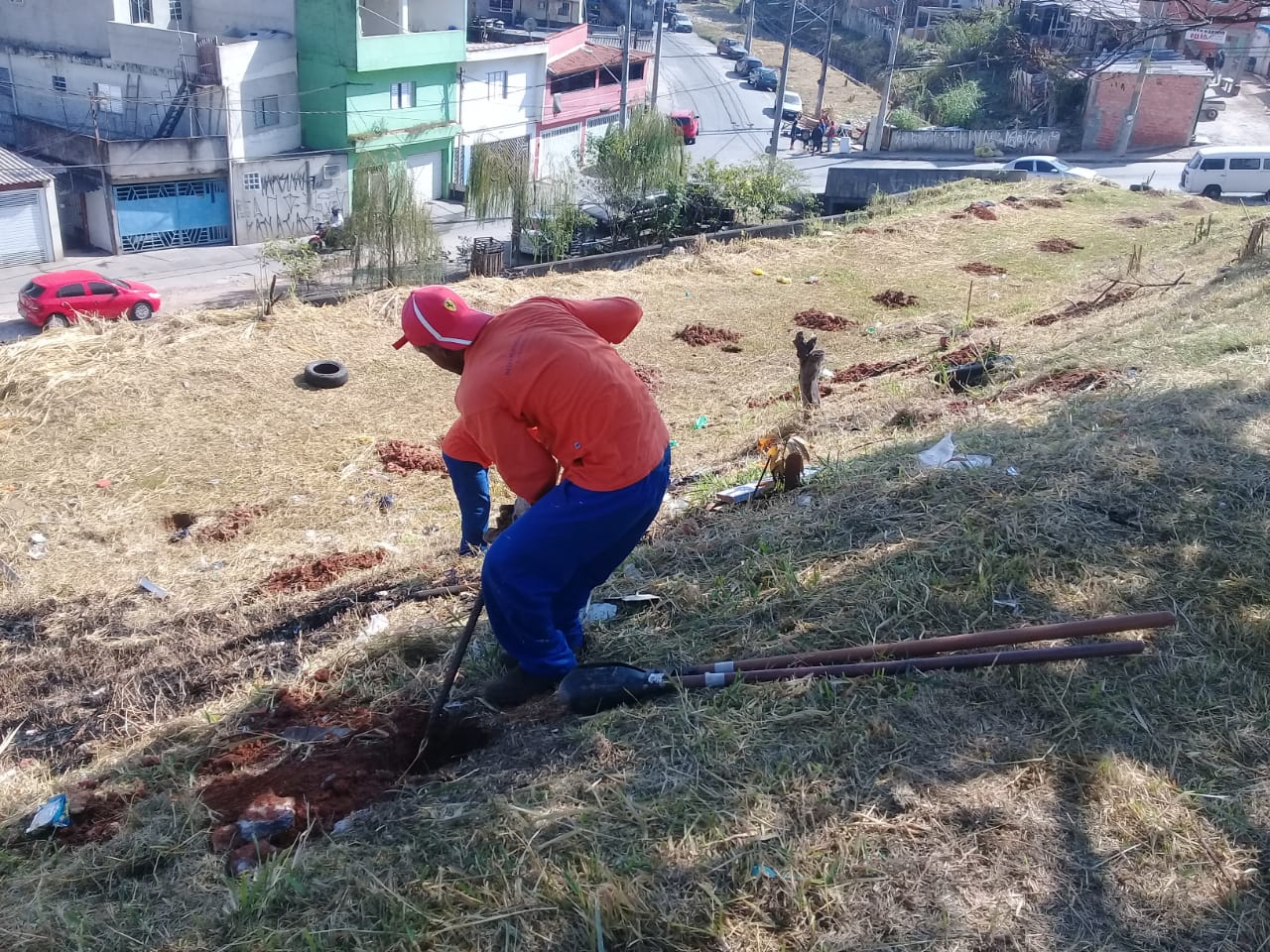 plantando