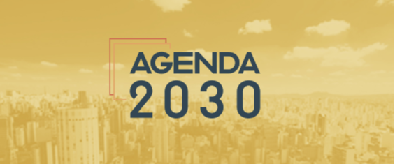 O Plano de Ação para implementação da Agenda 2030 da cidade de São Paulo.