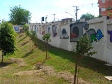 O Centro Esportivo Educacional Oswaldo Brandão/Espaço Criança Esperança ganhou 131 novas árvores.