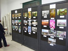 Exposição de fotos de 2011