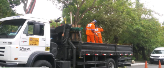 Dois funcionários da Prefeitura, com uniforme laranja ajeitam galhos cortados na caçamba de um caminhão. Ao fundo várias árvores enfileiradas à beira da calçada.