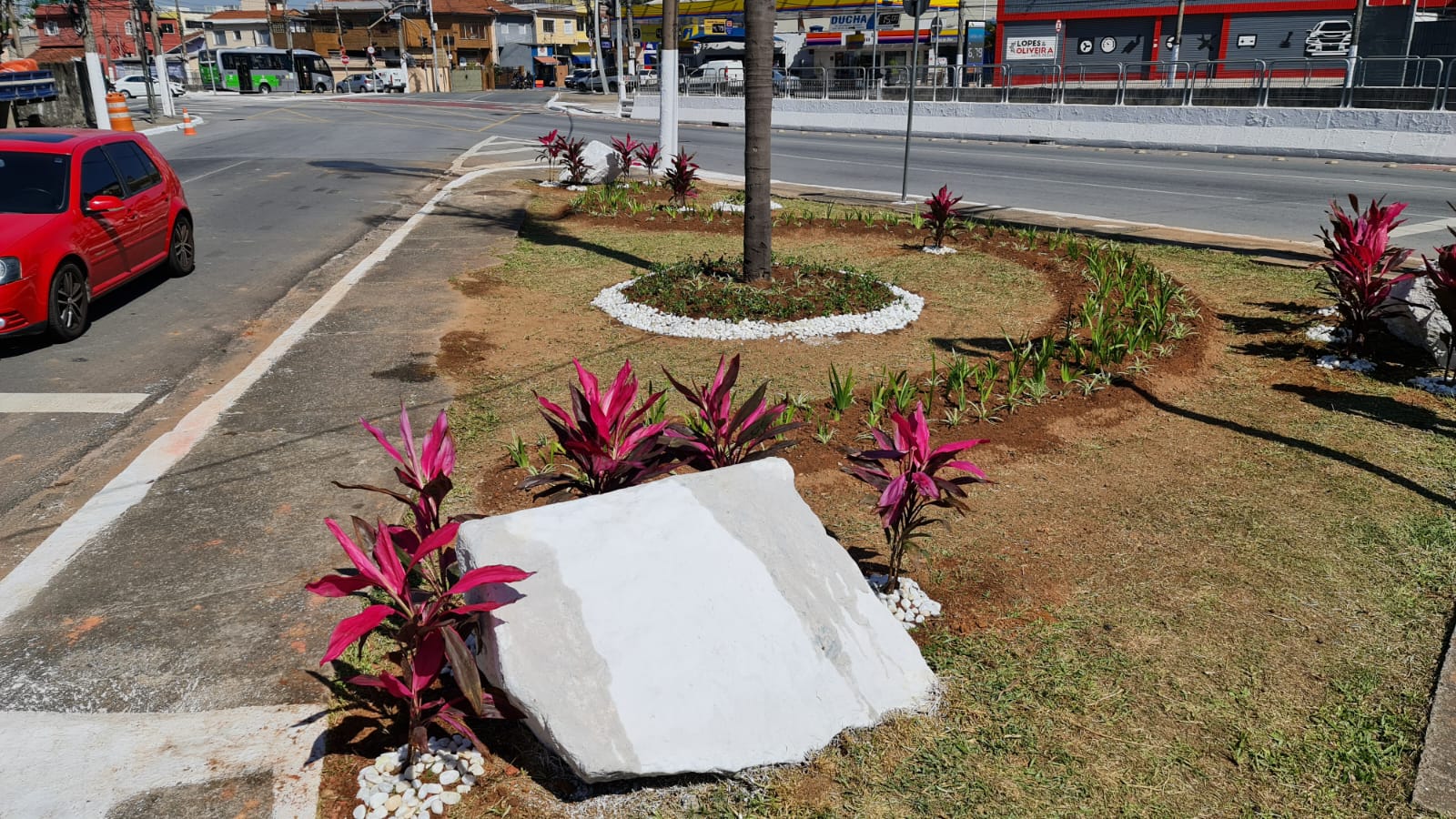 Imagens geral do canteiro onde uma pedra pintada  se destaca no gramado juntamente com espécie de plantas com vários tons de rosa